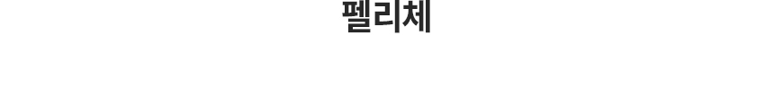 펠리체